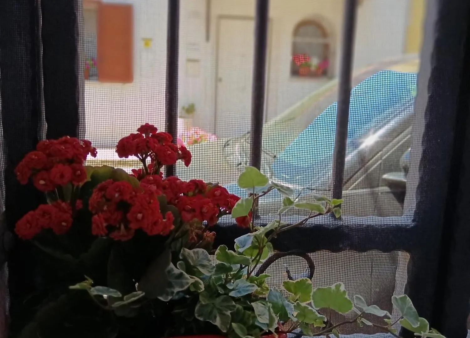 Olbia City House